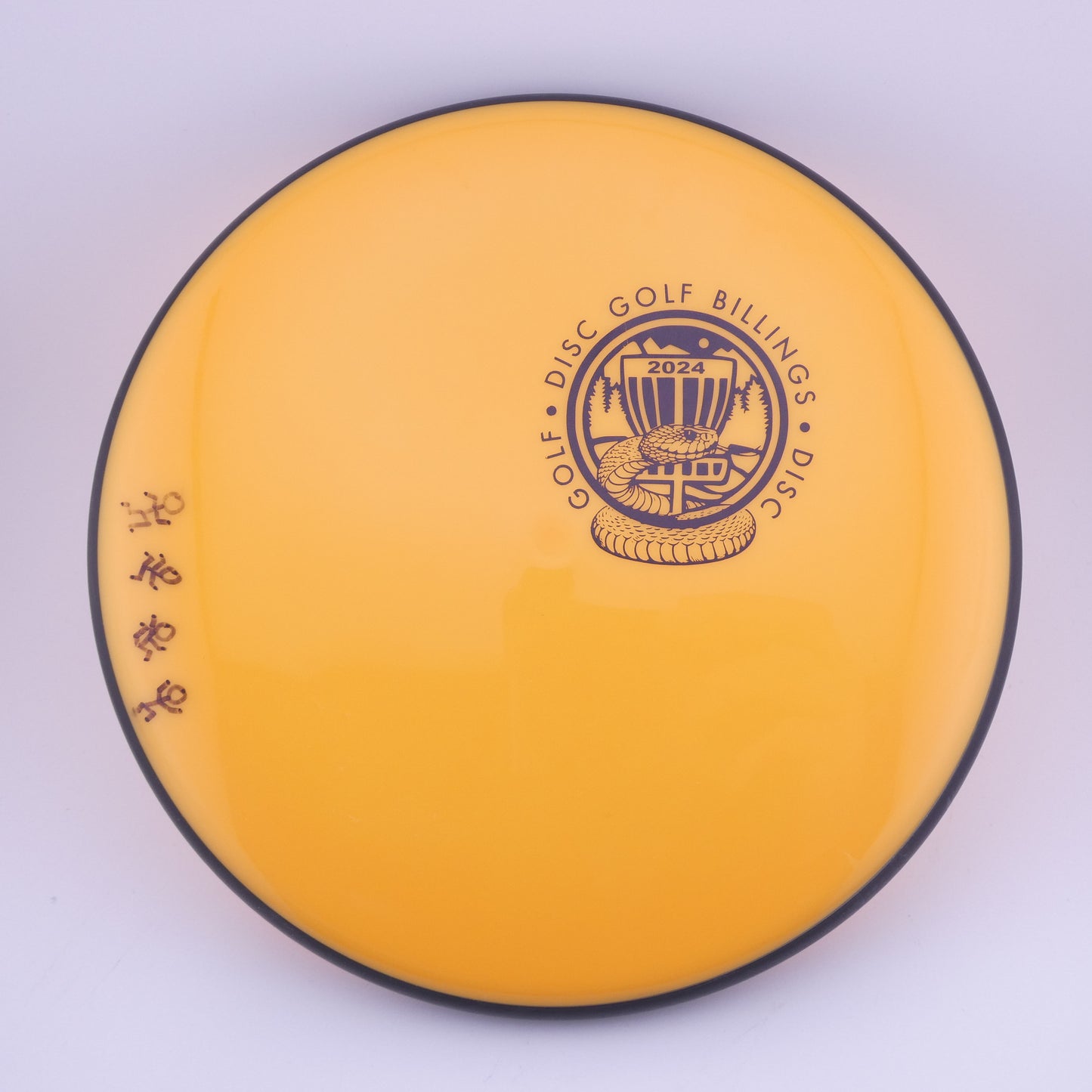 MVP Disc Sports (Used)